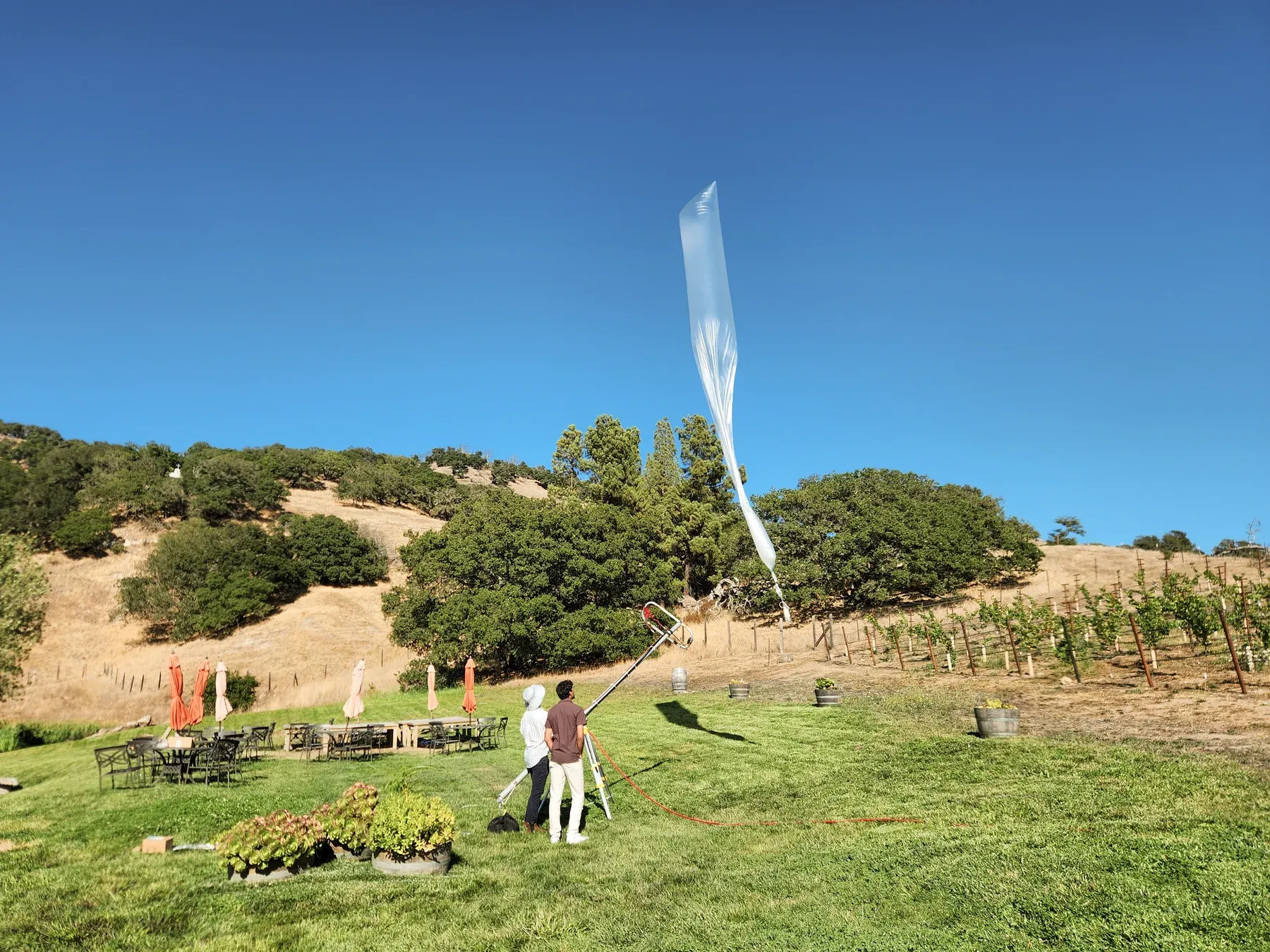 A weather balloon rising above a vineyard in Sonoma